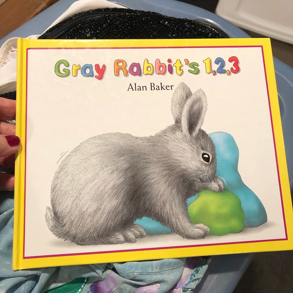 Children’s  counting  book